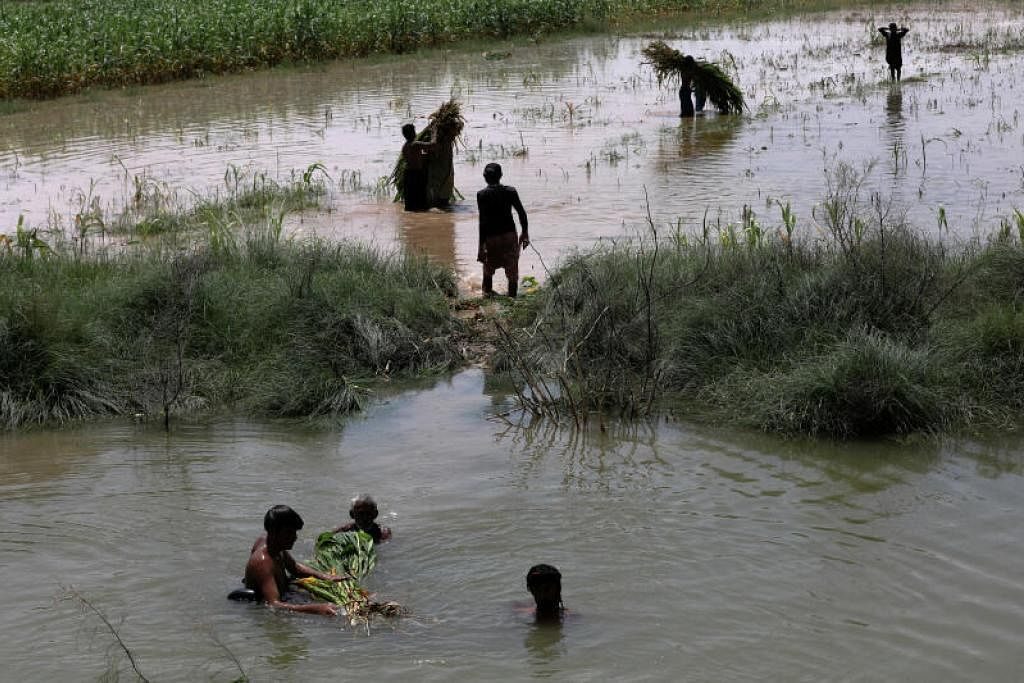 Deadly floods swamp farms in Pakistan, flushing away crops
