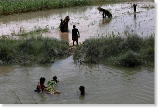 Deadly floods swamp farms in Pakistan, flushing away crops