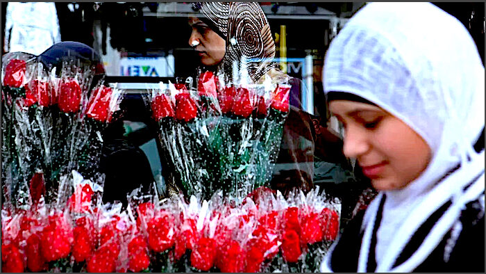 Roses