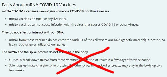 mercola