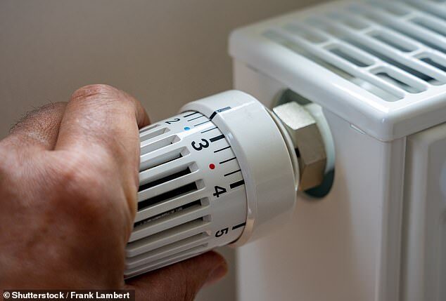 radiator thermostat