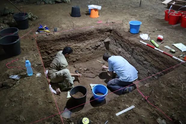 Click to enlarge surgery archeology