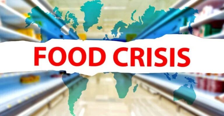 Food Crisis