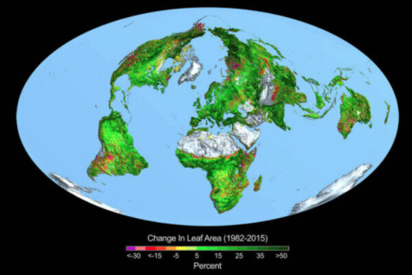 Click to enlarge vegetation increase