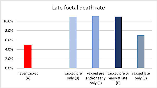 Click to enlarge Late foetal chart