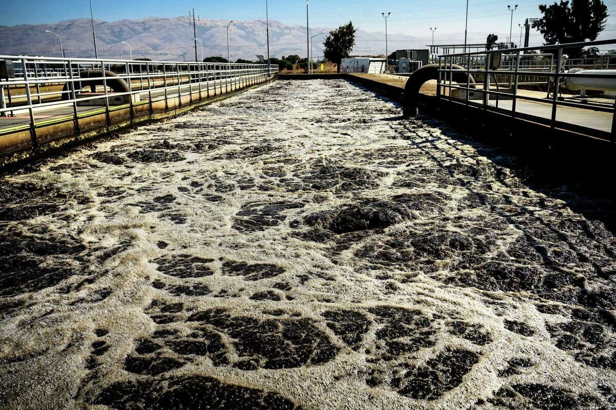 Click to enlarge san francisco algae bloom