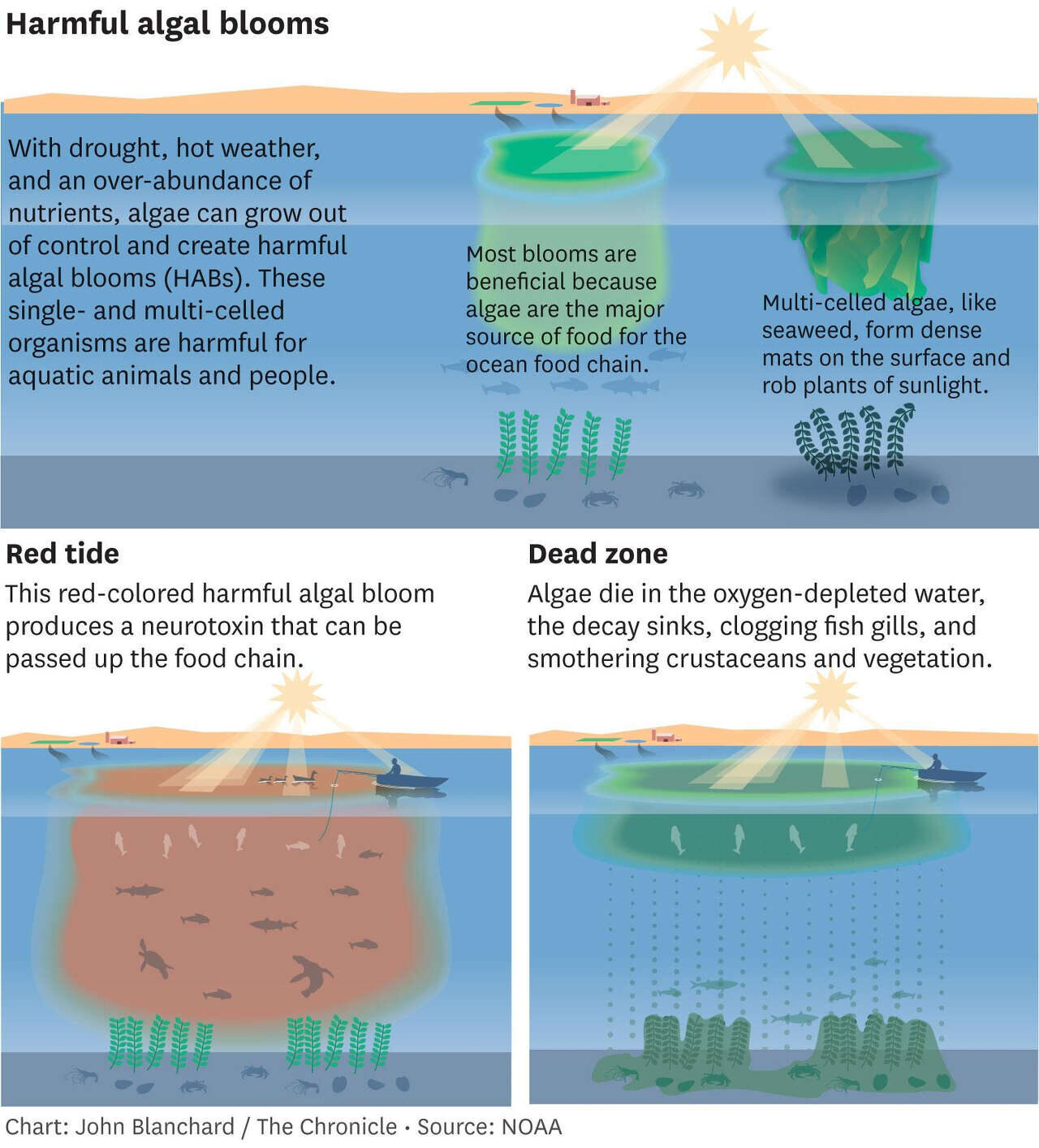 Click to enlarge algal bloom