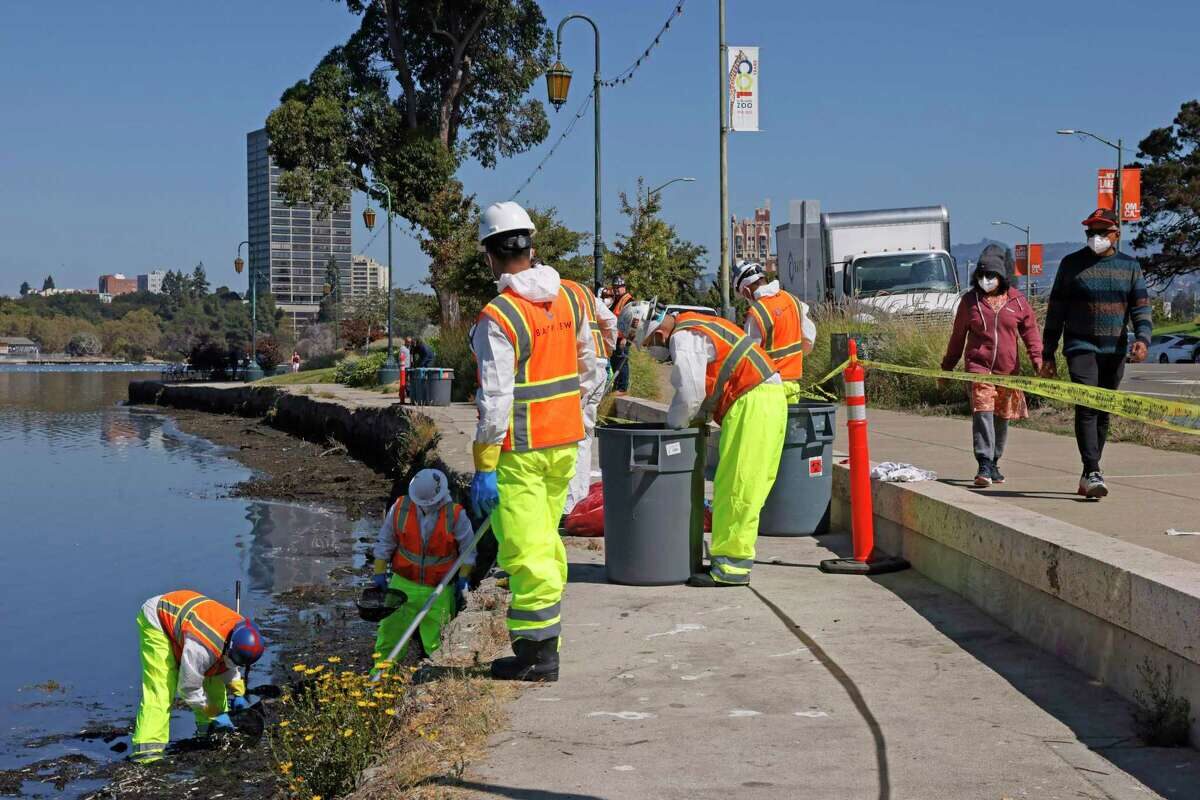 Click to enlarge sewage dead zone