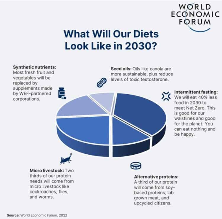 Click to enlarge world economic forum diet