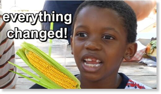CEO of Corn