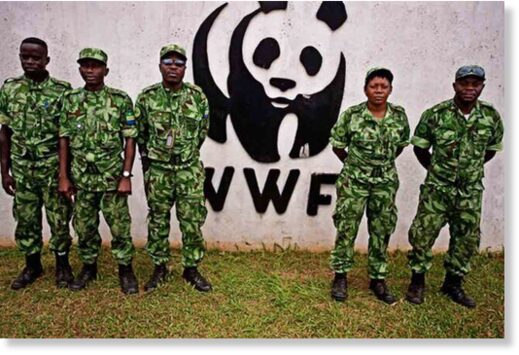 world wildlife fund