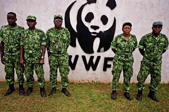 world wildlife fund