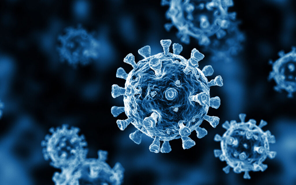 spike protein covid