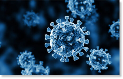 spike protein covid