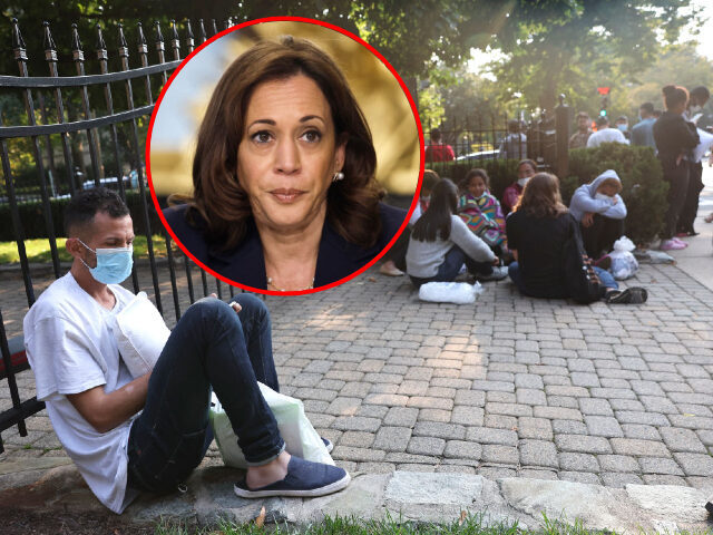 Harris illegal migrants