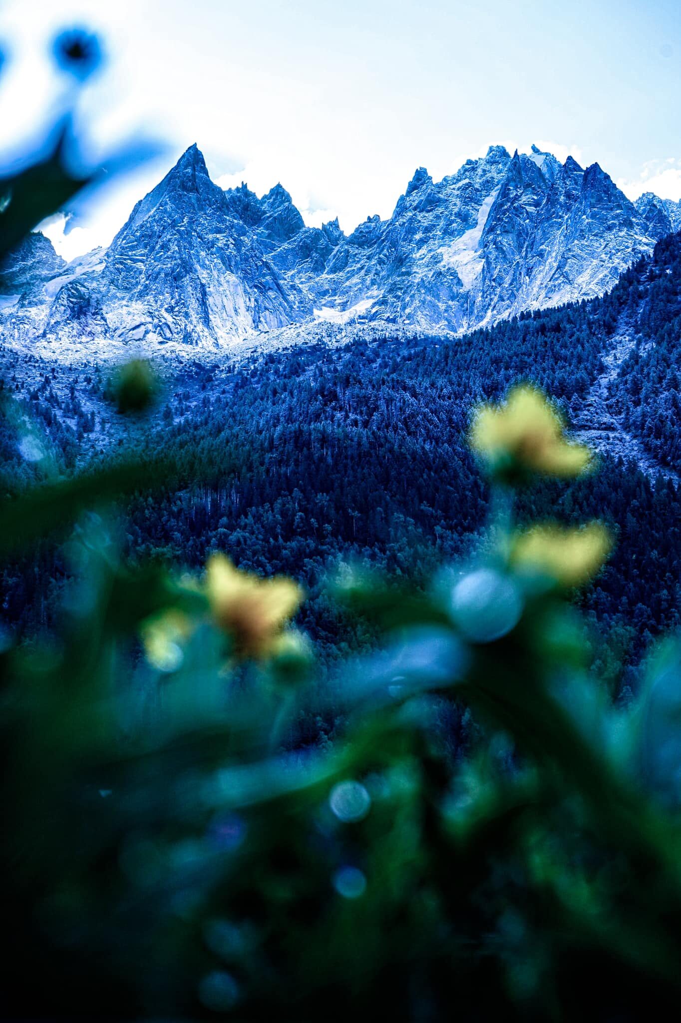 Click to enlarge Chamonix