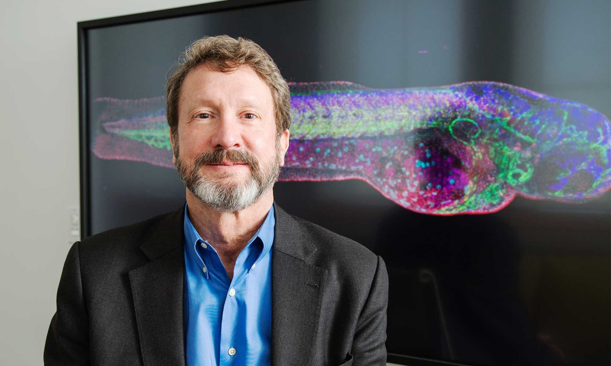Scott Fraser  scientist brain memory formation