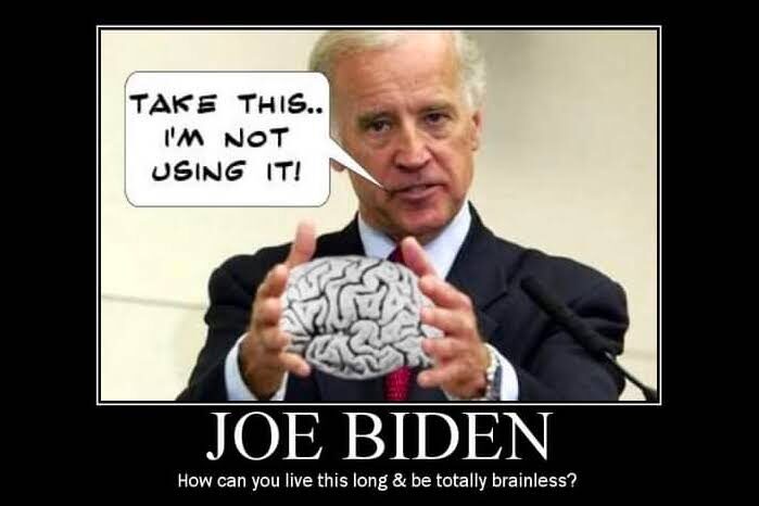 brainbiden