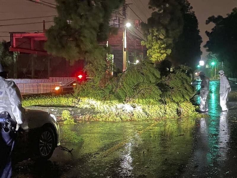 Typhoon Nanmadol has hit southwestern Japan, killing at least two people.