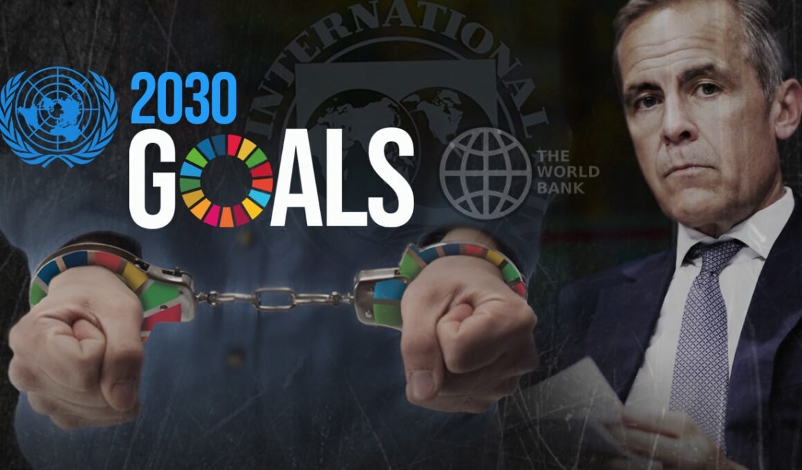 Click to enlarge 2030 Goals