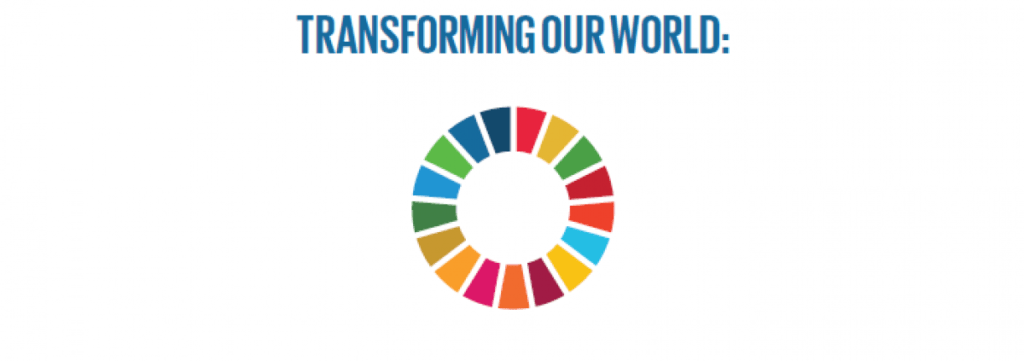 Click to enlarge The “transformative” SDGs