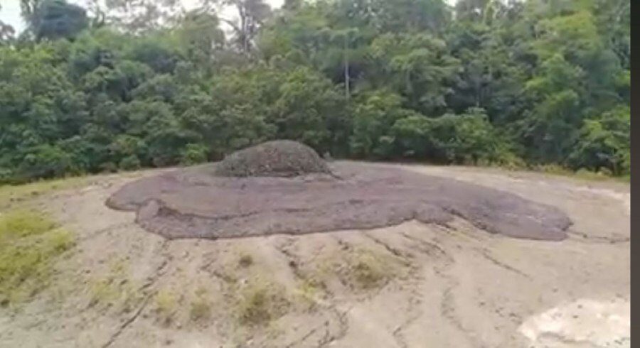The viral video received numerous comments from netizens with some relating it with the possibility of an earthquake.