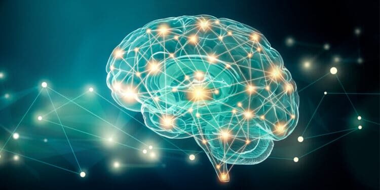 brain connections