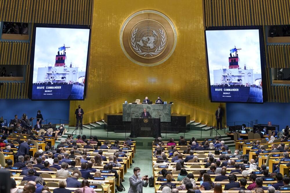 Click to enlarge UN assembly grain