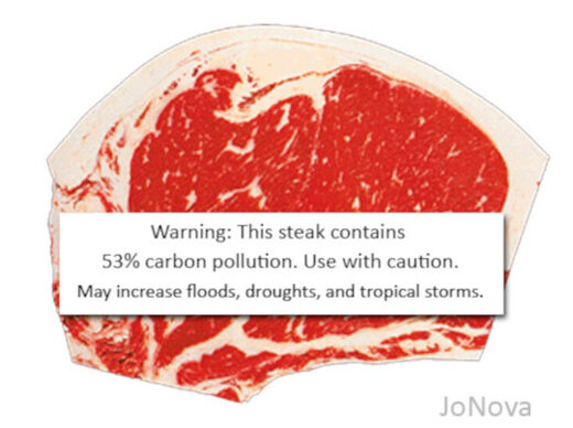 Carbon and Steak