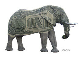 Elephant in Room