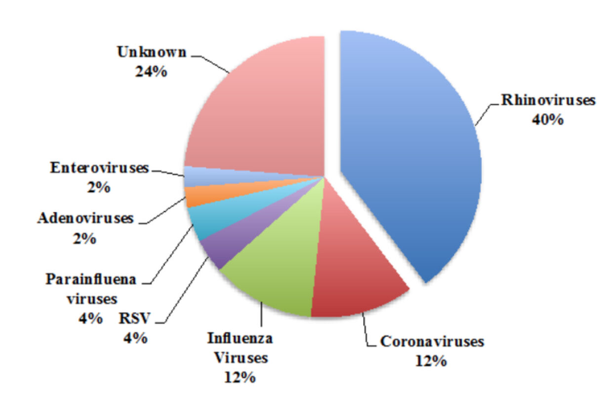 Click to enlarge Circle chart