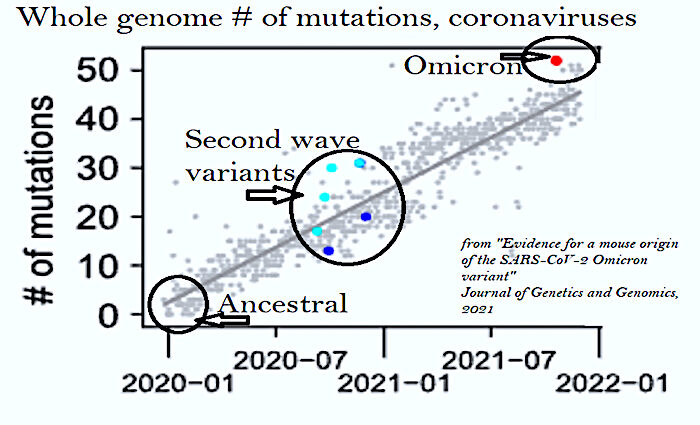 Click to enlarge genome chart