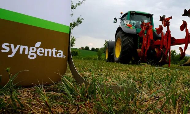 Click to enlarge Syngenta