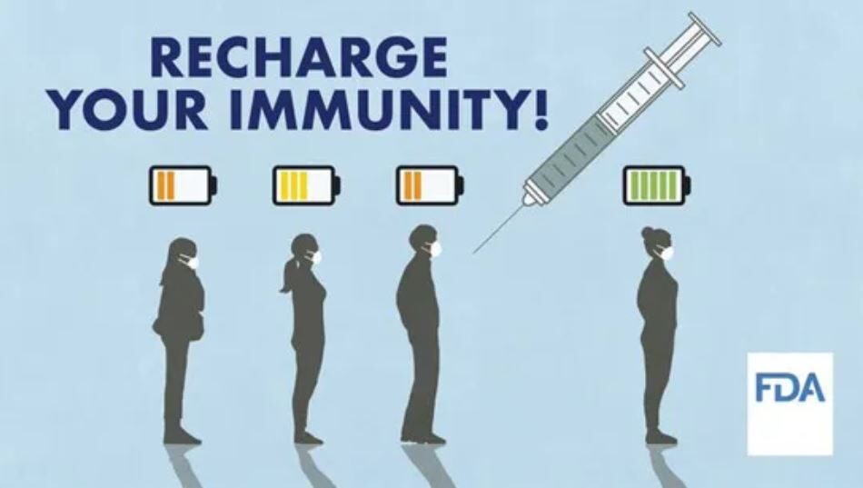 Click to enlarge FDA vaccine