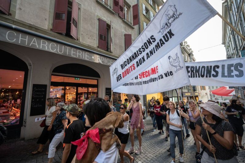 Click to enlarge animal protest