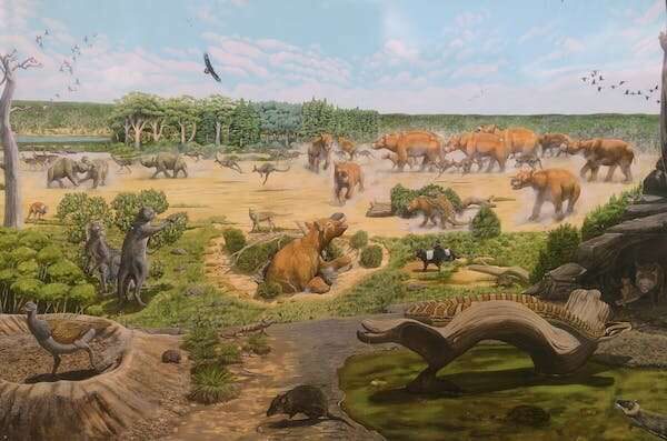Click to enlarge Pleistocene megafauna