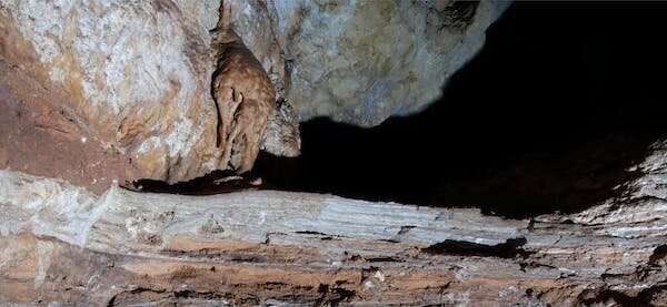 Click to enlarge Cave