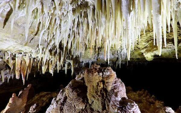 Click to enlarge Whale Bone Cave