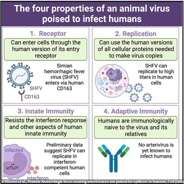 Simian hemorrhagic fever virus