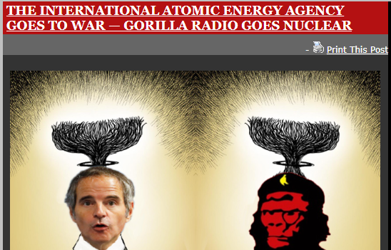 Click to enlarge Pic of IAEA