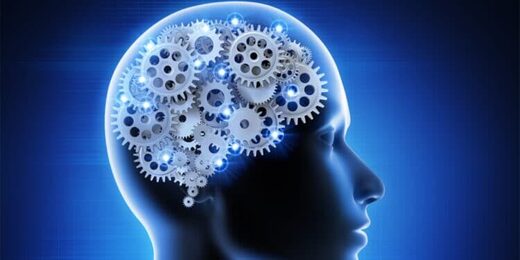 A strikingly 'simple dial' in the brain may help it distinguish imagination from reality A strikingly 'simple dial' in the brain may help it distinguish imagination from reality