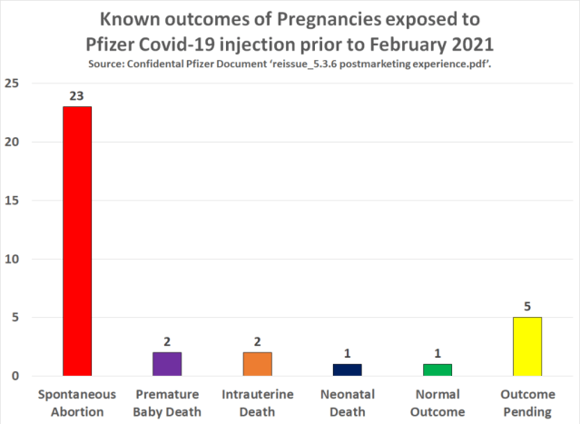 pfizer vaccine pregnancy outcomes