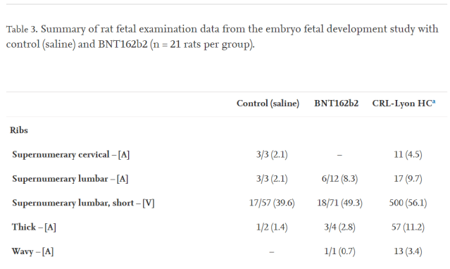 rat study pfizer vaccine fertility fetal development