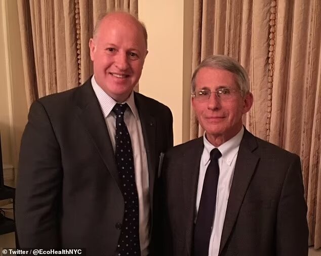 Click to enlarge peter daszak anthony fauci