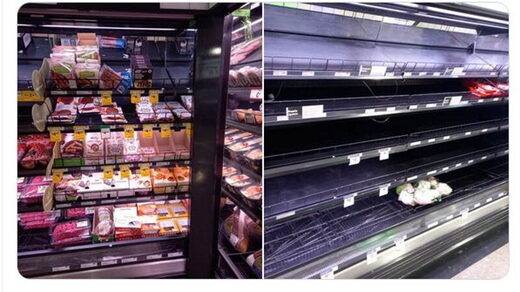fake meat left on empty grocery shelves