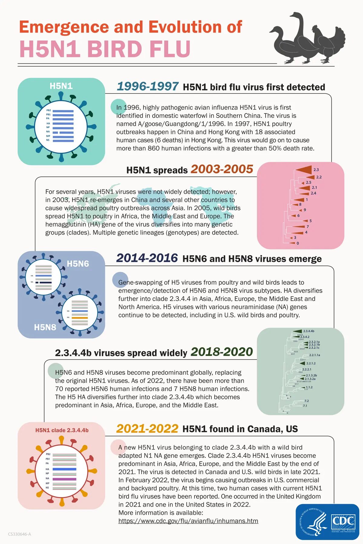 Click to enlarge bird flu chart graphic