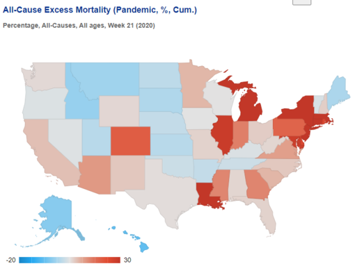 United States excess mortality 2020
