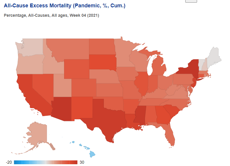 Click to enlarge US excess mortality 2021