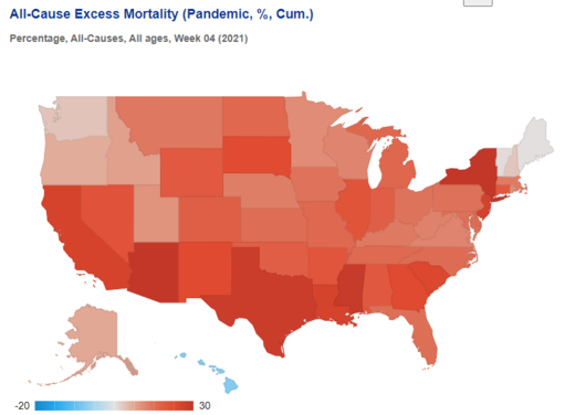 US excess mortality 2021