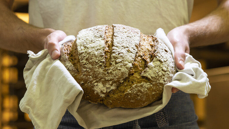 bread